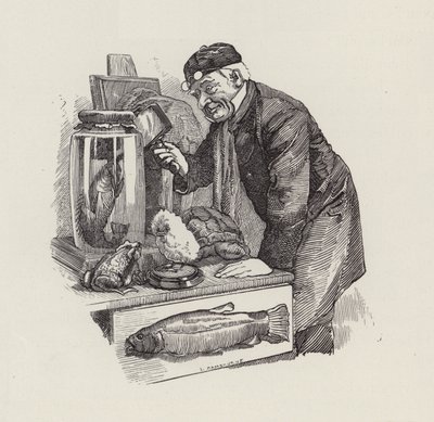 Illustration für Die Wasserkinder von Charles Kingsley von Edward Linley (after) Sambourne