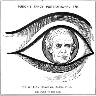 William Bowman, englischer Anatom, Chirurg und Augenarzt von Edward Linley Sambourne