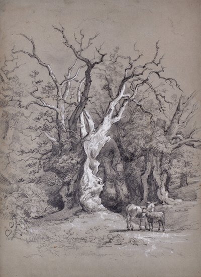 Landschaft mit Baum von Edward Pretty