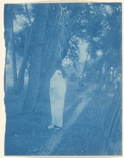 Warten im Wald - Cheyenne von Edward S. Curtis