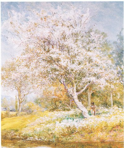 Blumen pflücken von Edward Samuel Harper