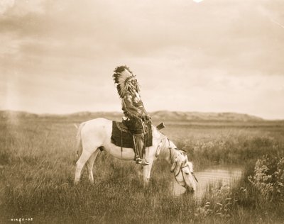 Oase in den Badlands 1905 (Foto) von Edward Sheriff Curtis