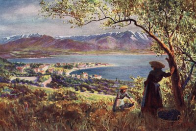 Korsika: Gesamtansicht von Ajaccio von Edwin Arthur Norbury