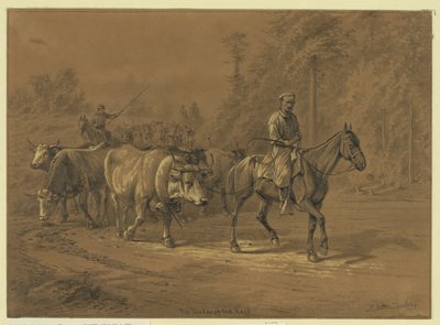 Der Anführer der Herde von Edwin Forbes