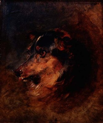 Kopfstudie eines Collie-Hundes von Edwin Landseer