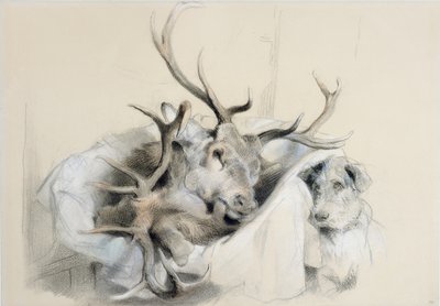 Hirschköpfe und Hund, 1857 von Edwin Landseer
