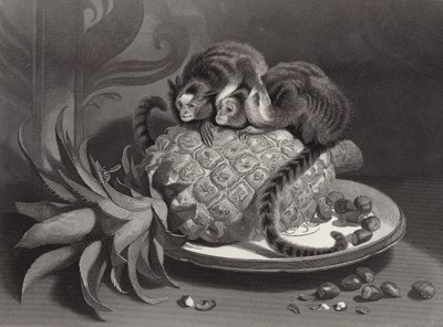 Die Marmozetten von Edwin Landseer