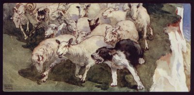 Bobtail-Schäferhund und Herde auf den Klippen von Edwin Noble