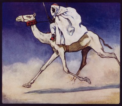 Rennkamel von Edwin Noble