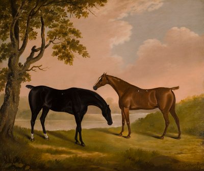 Zwei Jäger in einem bewaldeten Fluss von Edwin W. Cooper