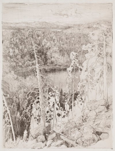 Landschaft von Koli; Waldlandschaft von Räsävaara von Eero Järnefelt