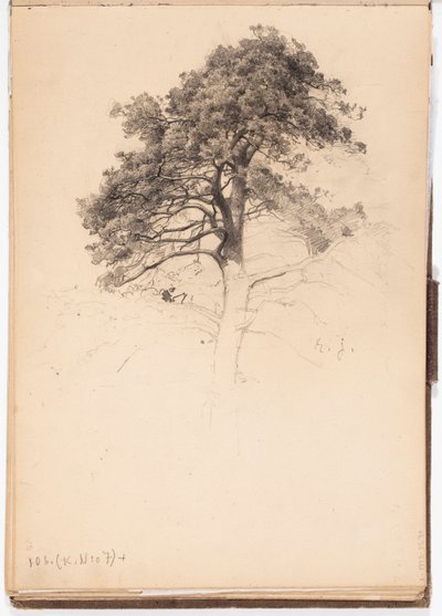 Spitze einer Kiefer, Seite aus Järnefelts Skizzenbuch von Eero Järnefelt