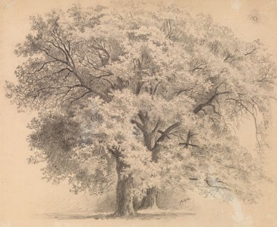 Ohne Titel von Eero Järnefelt