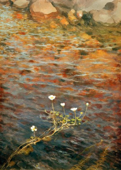 Wasserranunkel von Eero Nikolai Jarnefelt