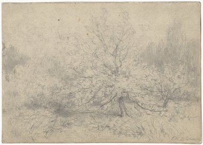 Landschaft mit einem Baum prominent in der Mitte von Egbert Rubertus Derk Schaap