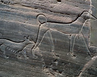 Paar Hunde, Relief vom Eingang, Grab von Sarenput II, Gräber der Prinzen, Qubbet el-Hawa, Westufer des Nils bei Assuan, ägyptische Zivilisation, Mittleres Reich, Dynastie XII von Egyptian 12th Dynasty