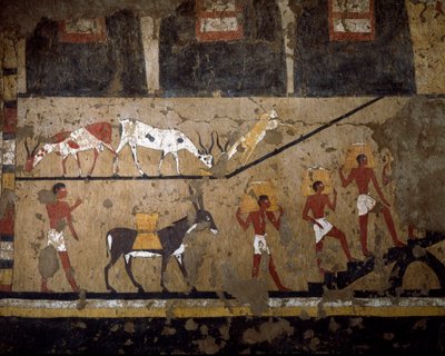 Ägyptische Antiquität: der Transport von Weizen auf dem Rücken von Maultieren und auf dem Rücken von Sklaven. Fresko aus dem Grab der Königin Neferou III. 12. Dynastie. 2200-2000 v. Chr. Aus El Ghebelen. Turin, Ägyptisches Museum von Egyptian 12th Dynasty