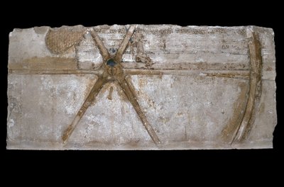 Geschnitzter und bemalter Kalksteinblock mit Darstellung eines Streitwagenrads, 1353-35 v. Chr. von Egyptian 18th Dynasty