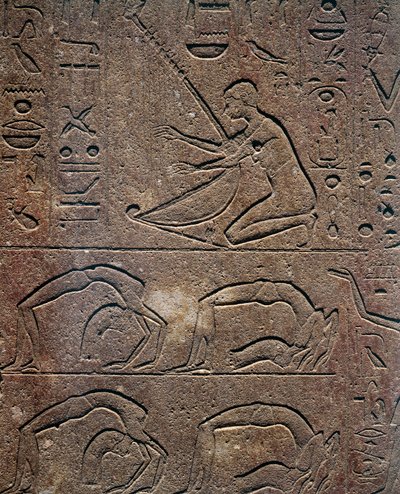 Feiern mit Harfenspieler und Akrobaten, Relief, Rote Kapelle von Hatschepsut, Rekonstruktion ausgestellt im Museum von Karnak, ägyptische Zivilisation, Neues Reich, Dynastie XVIII von Egyptian 18th Dynasty
