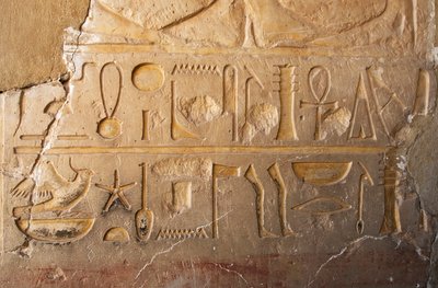 Ägyptische Antike: Detail einer Inschrift mit Kartusche und Hieroglyphen, die langes Leben und Wohlstand darstellen. Tempel der Königin Hatschepsut (1479 v. Chr. - 1457 v. Chr.) Deir el-Bahari, Ägypten von Egyptian 18th Dynasty