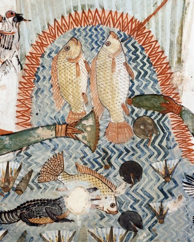 Fisch, Detail aus der Szene des Jagens und Fischens in den Sümpfen, Fresko, Nordwand, Längskammer, Thebanisches Grab TT69, Sheikh Abd el-Qurna, Theben (Unesco-Weltkulturerbe) von Egyptian 18th Dynasty