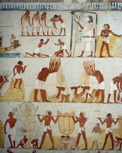 Ernte, Dreschen und Worfeln von Getreide (Detail) von Egyptian 18th Dynasty