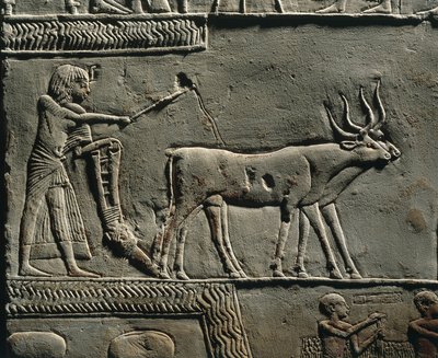 Horemheb pflügt Land in den Feldern von Iaru. Relief aus dem Grab von Horemheb in Saqqara (Detail) von Egyptian 18th Dynasty