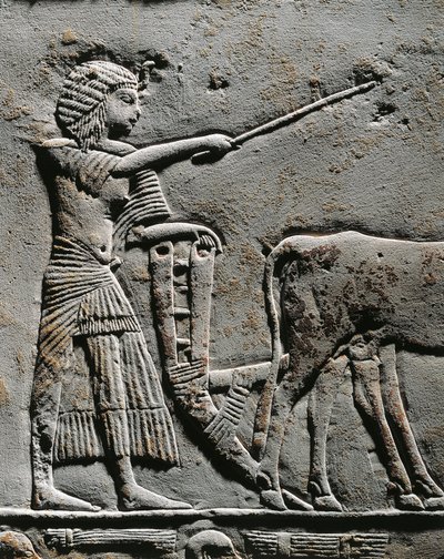 Horemheb pflügt Land in den Feldern von Iaru, Relief aus dem Grab von Horemheb in Saqqara (Detail) von Egyptian 18th Dynasty