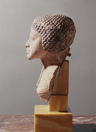 Linkes Profil des Kopfes einer Prinzessin aus der Familie von Echnaton, Neues Reich (bemalter Kalkstein) von Egyptian 18th Dynasty