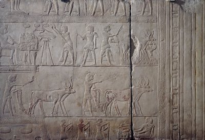 Pharao Horemheb, dargestellt bei der landwirtschaftlichen Arbeit in den Feldern von Iaru, empfängt die Ernte, die von Bauern angeboten wird, Kalksteinwandrelief, aus dem memphitischen Grab von Horemheb in Saqqara, Ägyptische Zivilisation, Neues Reich, Dyna von Egyptian 18th Dynasty