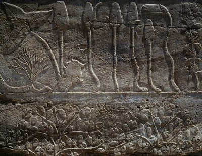 Pflanzen, die von der Expedition Thutmosis III. in Syrien im Jahr 1465 v. Chr. zurückgebracht wurden, Detail eines Reliefs, Halle des sogenannten Botanischen Gartens, Tempel des Amun, Karnak-Tempelkomplex, ägyptische Zivilisation, Neues Reich, 18. Dynastie von Egyptian 18th Dynasty