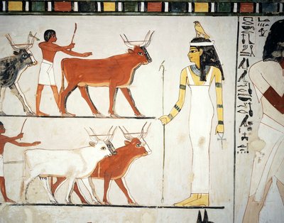 Hirten und Vieh vor der Göttin Imentet, Fresko, Südwand, Längskammer, Thebanisches Grab TT69, Sheikh Abd el-Qurna, Theben (Unesco-Welterbeliste) von Egyptian 18th Dynasty