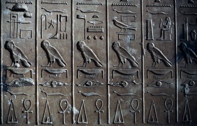 Basrelief mit hieroglyphischen Reliefs, die den Gott Horus in Form eines Falken und das Ankh, Symbol des Lebens, darstellen, Tempel von Seti I oder Großer Tempel von Abydos, Abydos, Ägypten, Ägyptische Zivilisation, Neues Reich, Dynastie XIX von Egyptian 19th Dynasty