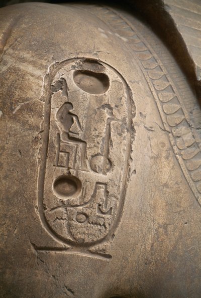 Kartusche am Arm, Gravur vom Koloss von Ramses II, Memphis (UNESCO-Welterbeliste) von Egyptian 19th Dynasty