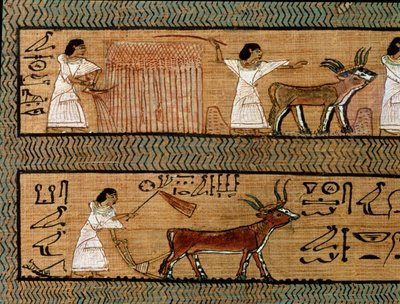 Ernten und Pflügen, Detail aus einer Darstellung landwirtschaftlicher Aktivitäten im Jenseits, aus dem Totenbuch des Schreibers Any, ca. 1250 v. Chr. von Egyptian 19th Dynasty
