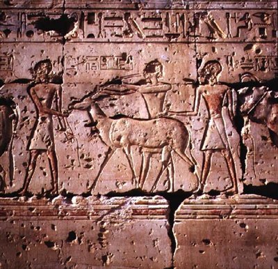Relief, das Oryx zeigt, die zur Opferung in Prozession geführt werden, aus dem Tempel von Ramses II., Neues Reich von Egyptian 19th Dynasty