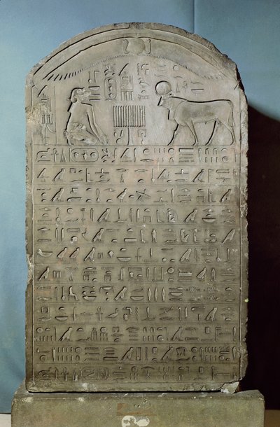 Stele zur Erinnerung an die Beerdigung des Apis-Stiers während der Herrschaft von Ahmose II. (Amasis) aus dem Serapeum in Sakkara, Spätzeit, 547 v. Chr. (Kalkstein) von Egyptian 26th Dynasty