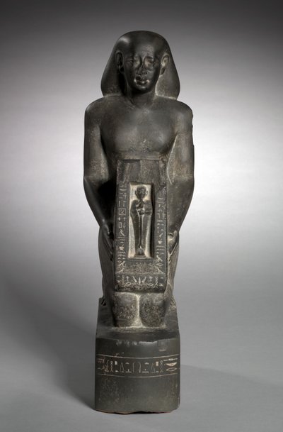 Naophore Statue des Finanzbeamten und Aufsehers der Felder, Horwedja, 521-486 v. Chr. von Egyptian 27th Dynasty