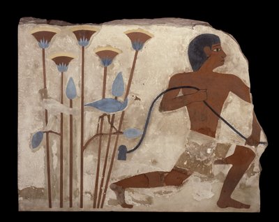 Vogelfang, Relief aus dem Grab von Nefermaat, Altes Reich, ca. 2620 v. Chr. von Egyptian 4th Dynasty
