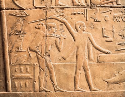 Szenen der Feldarbeit, (Detail) von Egyptian 4th Dynasty