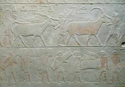 Diener treiben einen Oryx und eine Antilope und andere tragen Gepäck, aus der Mastaba von Akhethotep, Saqqara, Altes Reich von Egyptian 5th Dynasty