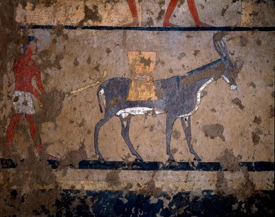 Ägyptische Antiquität: "Der Getreidetransport auf dem Rücken eines Maultiers". Temperamalerei an der Wand des Grabes des Kanzlers von König Iti (oder Ity) 2200-2000 v. Chr. Aus El Ghebelen, Luxor. Turin, Ägyptisches Museum von Egyptian Egyptian