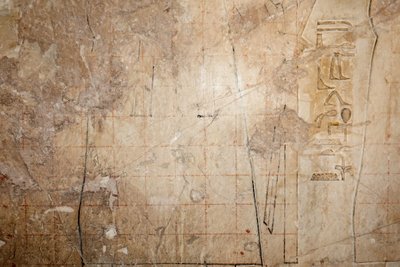 Projekt für eine Kopie einer Rasterzeichnung, Tempel des Horus, Edfu von Egyptian Egyptian