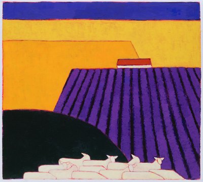 Schafe und Lavendelfelder, 2004 von Eithne Contemporary Artist Donne