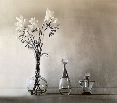 Elegante Blumen und Parfüm von Elena Arjona