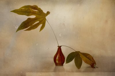 Goldenes Blatt-Stillleben von Elena Arjona