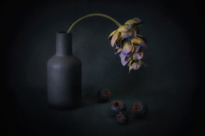 Beschattete Blüte und Beeren von Elena Arjona