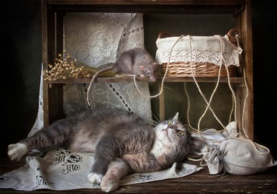 Neugierige Katze und Ratte von Eleonora Grigorjeva