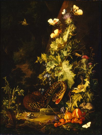 Stillleben mit einer Schlange, frühes 18. Jahrhundert von Elias van den Broeck