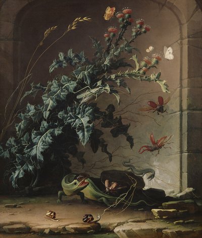 Steinnische mit Distel, Eidechse und Insekten, 1690 von Elias van den Broeck